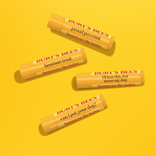 Burt’s Balm Dog Toy & Pawrent Balm 4-Pack Set