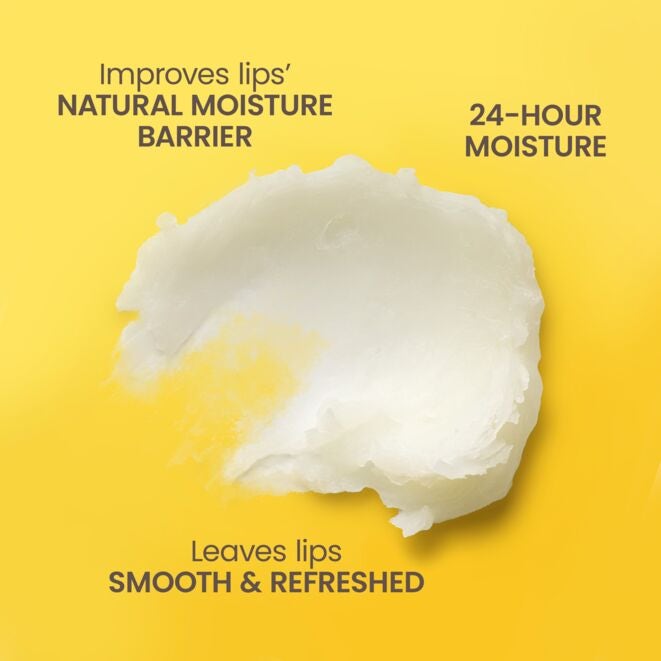 Burt's Bees Lip Balm Tropical Assortment 4 Pack