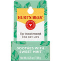 Sweet Mint Lip Treatment with Sea Minerals